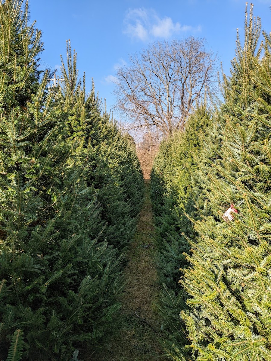 John T Nieman Nursery & Landscaping