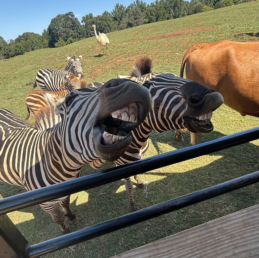 Circle M Safari Park