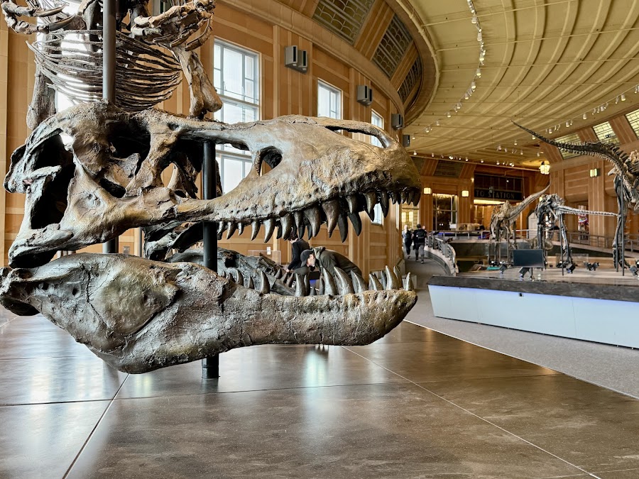 Cincinnati Museum Center