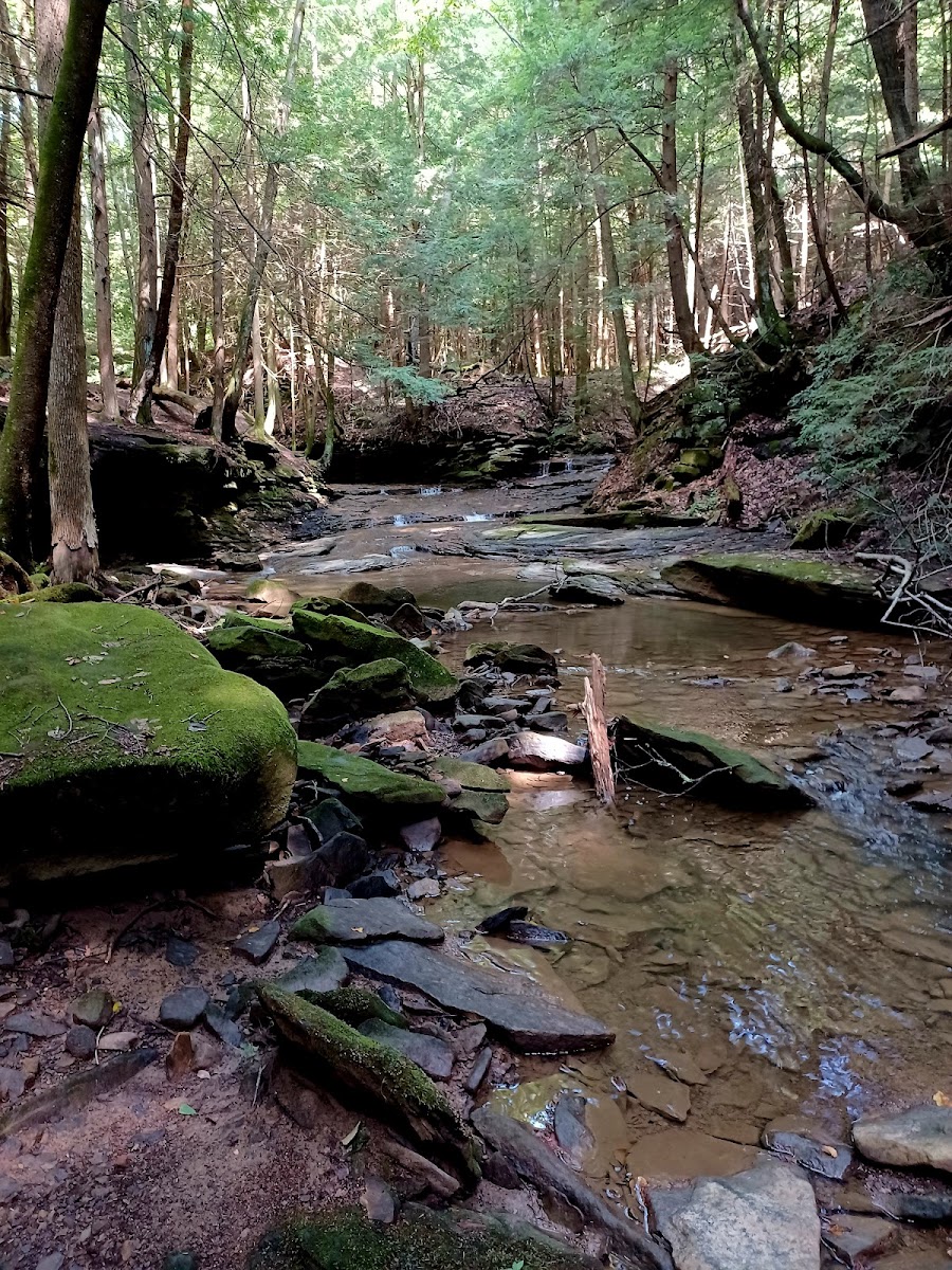 Todd Nature Reserve