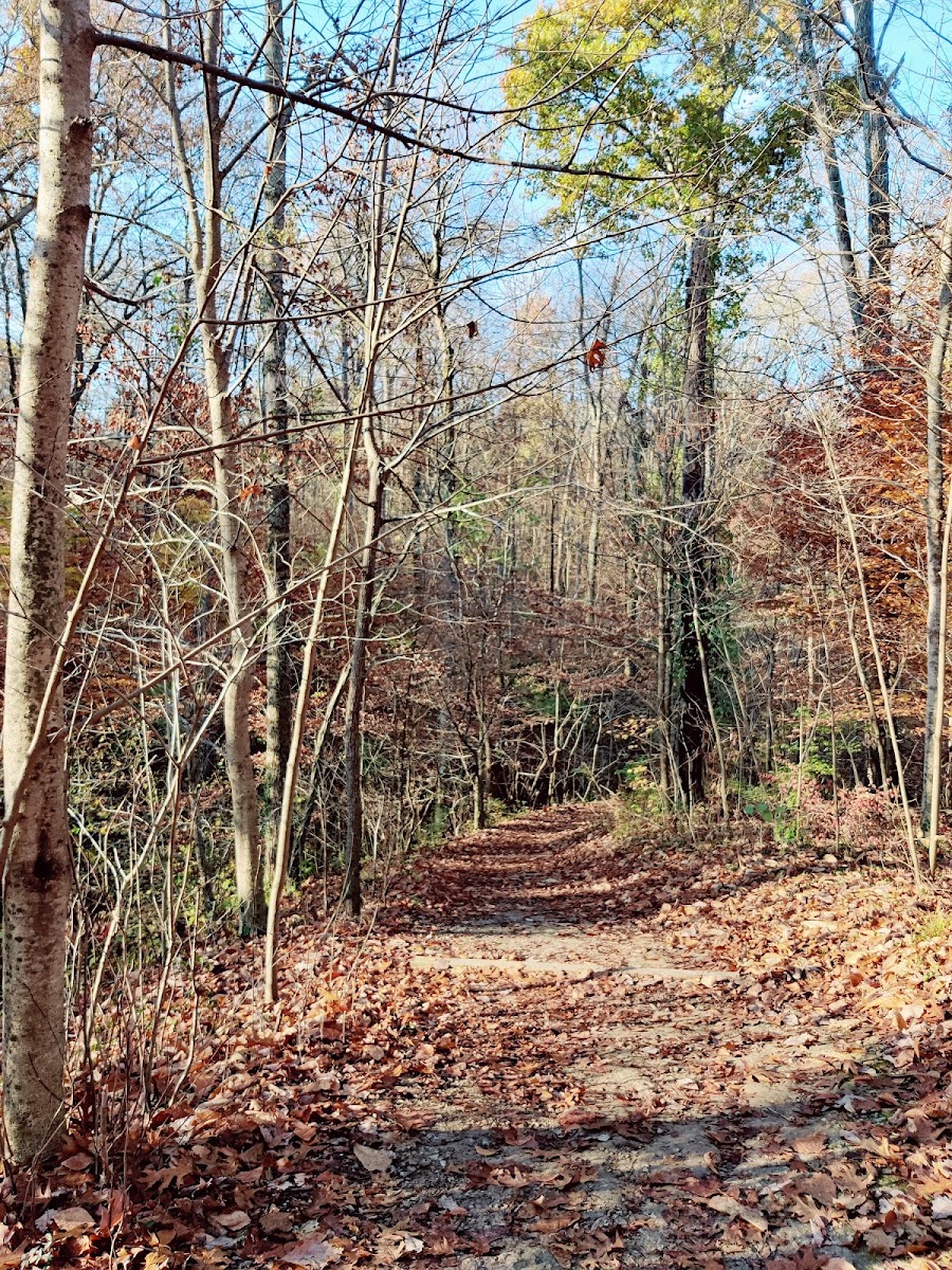 Withrow Nature Preserve