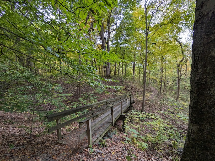 Buttercup Valley Preserve