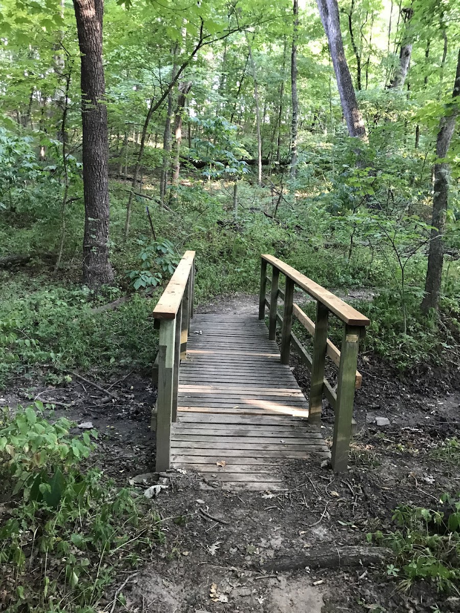 Maple Woods Natural Area