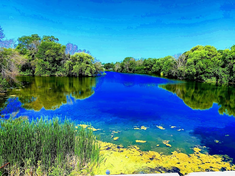 Wilson Pond