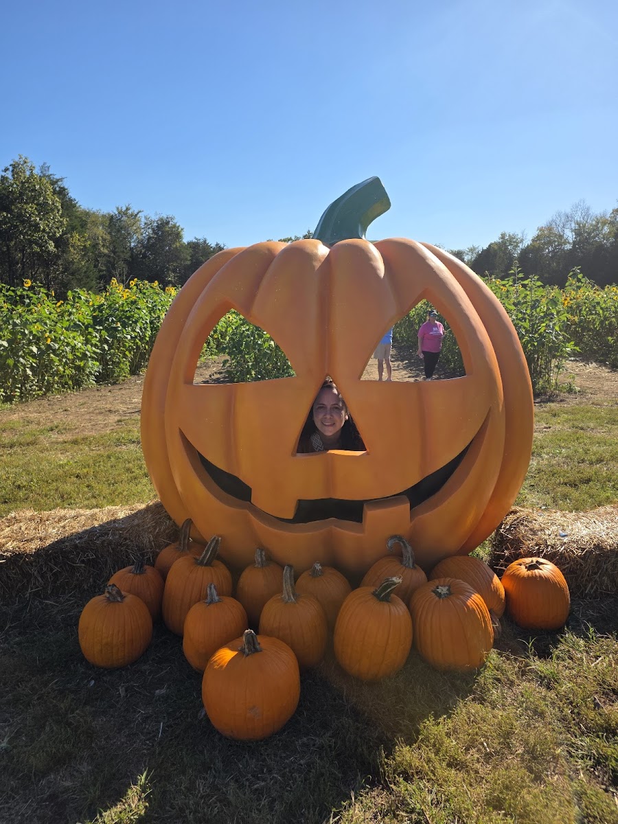 Lucky Ladd Farms - Farm Park & Zoo