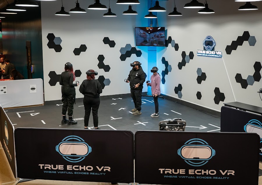 True Echo VR