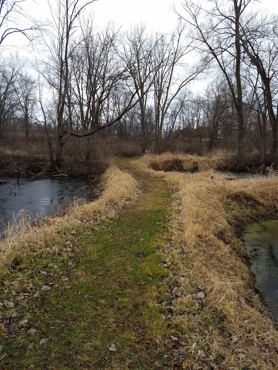Caledonia Conservancy Trout Ponds Prairie