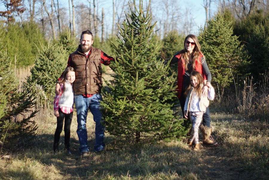 Albert Family Tree Farm