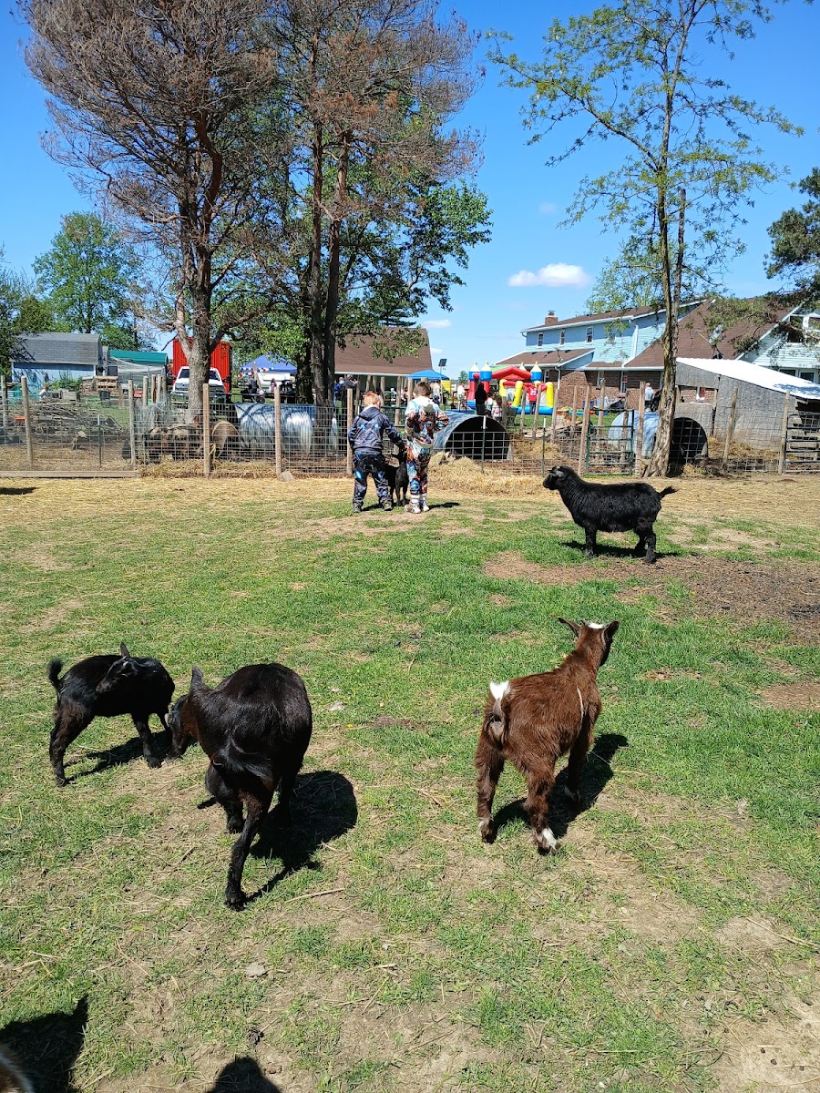 6th Day Farm