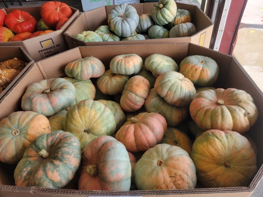 Sibley Orchard