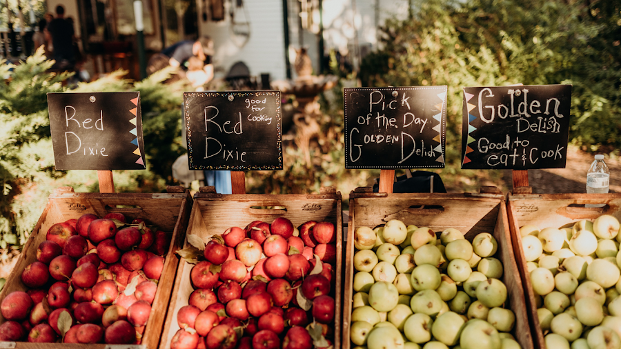 Cider Hill Family Orchard