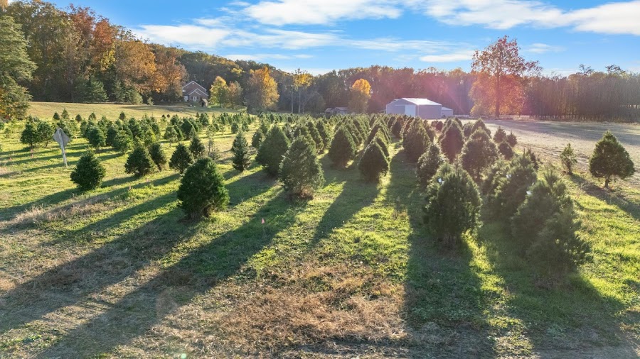 Roberts Tree Farm Indiana
