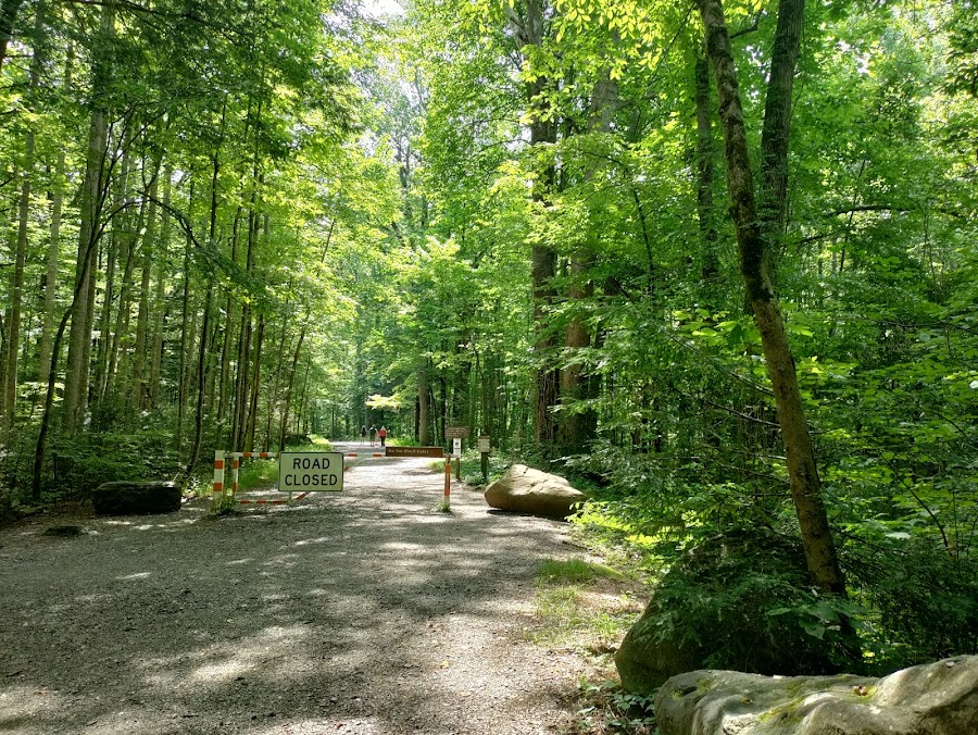 Cherokee Park