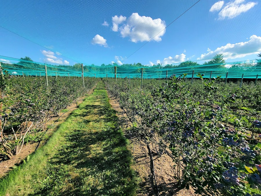 Hardt’s Berry Farm