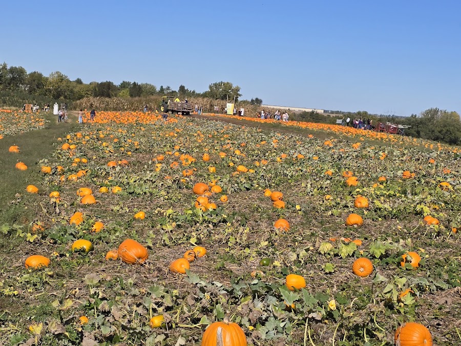Schweizer Orchards