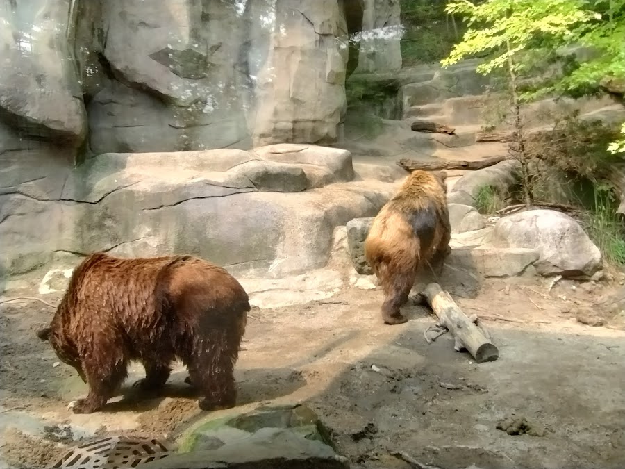 John Ball Zoo