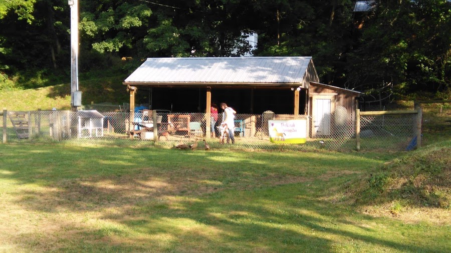 Shekinah Ranch Camp
