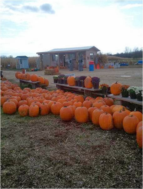 Cedarburg Creek Farm