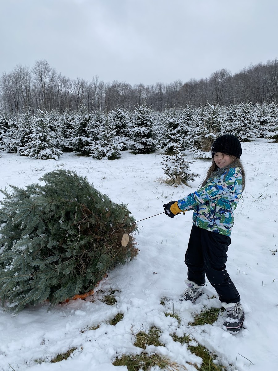 Wintergreen Tree Farm