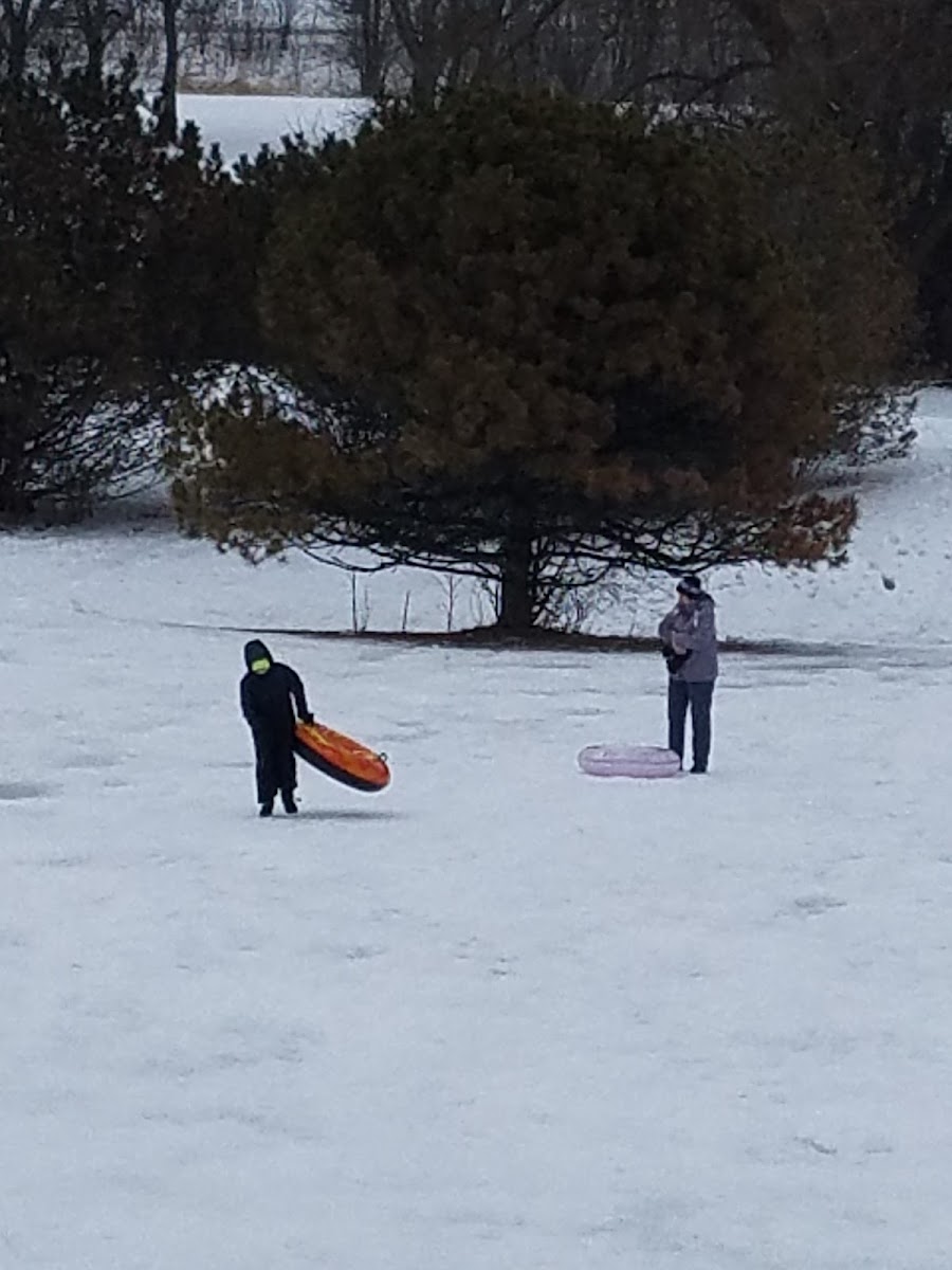 Currie Park