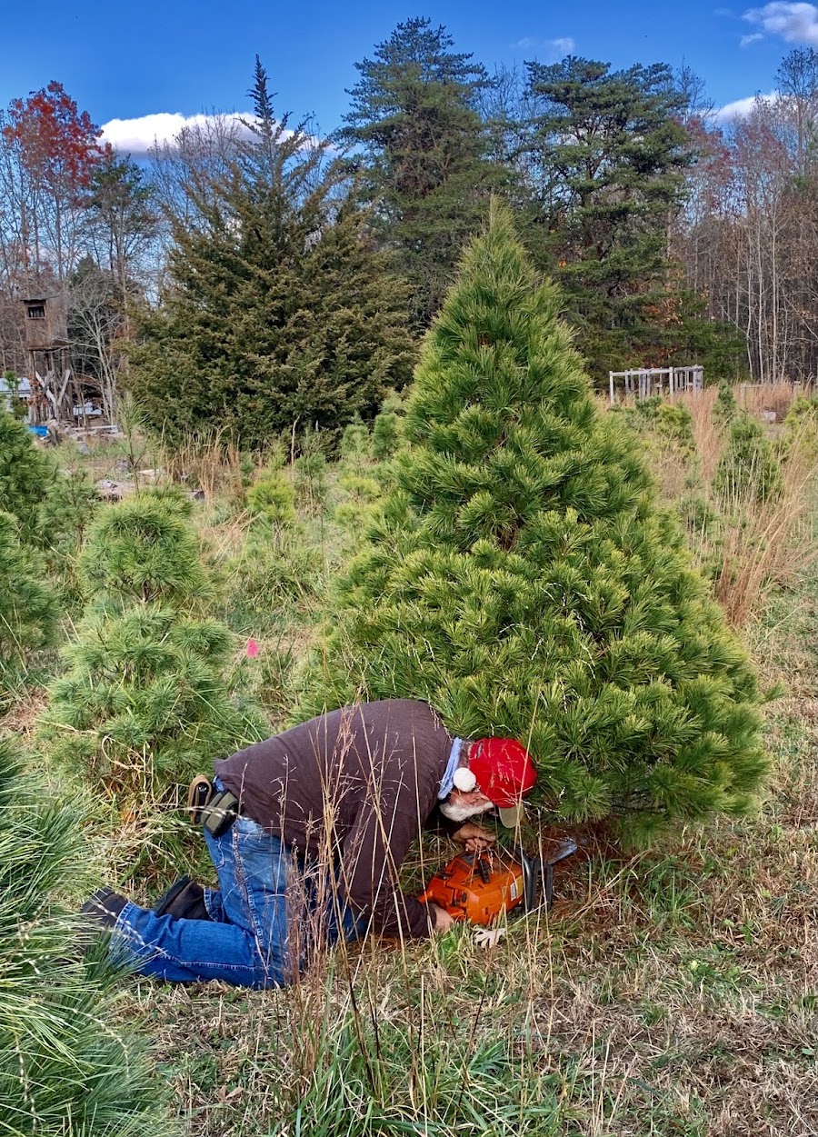 O’Neal’s Christmas Tree Farm