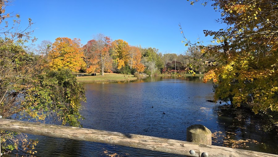 Brown Deer Park Pond