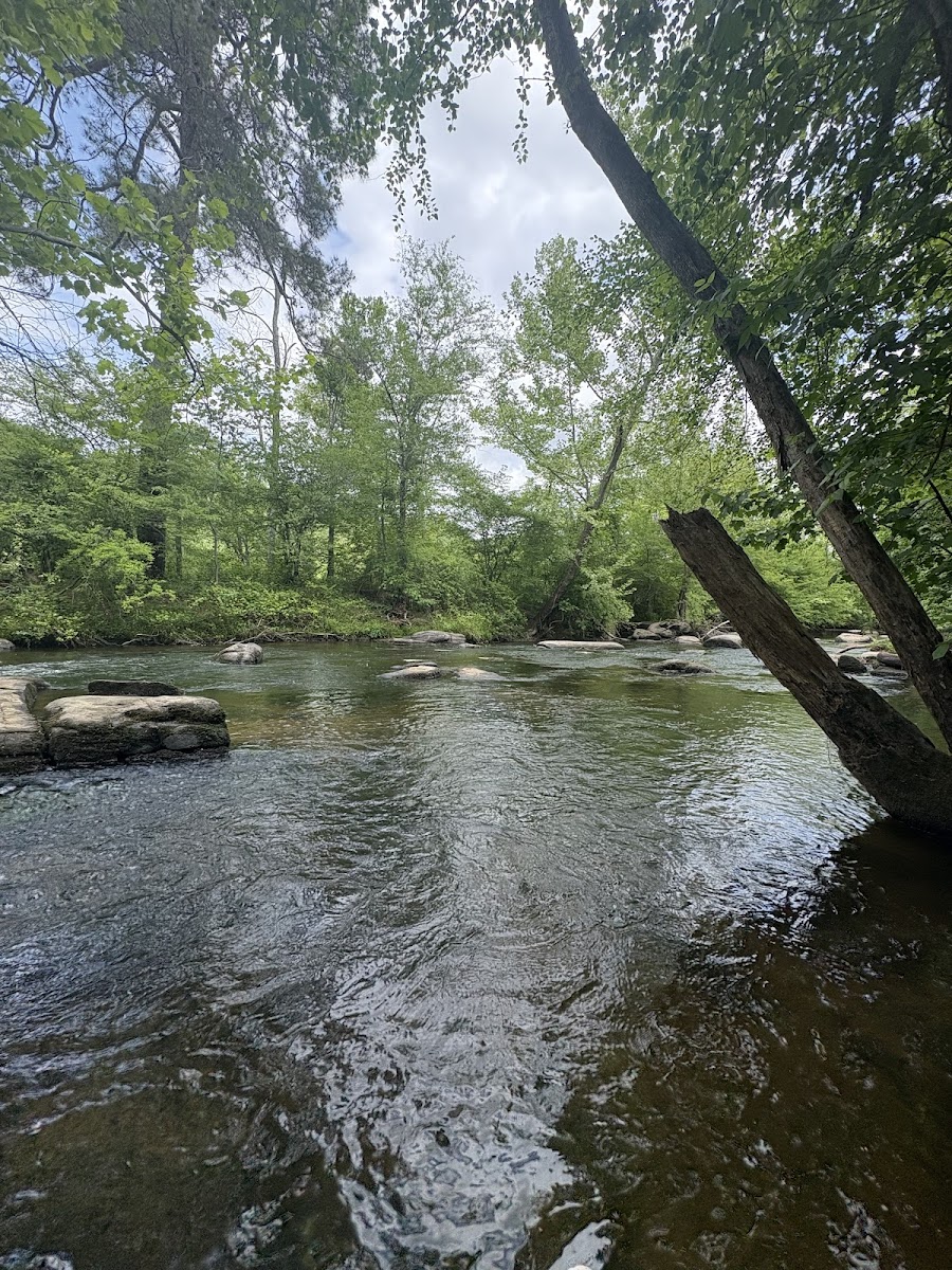 Appomattox Riverside Park (Ferndale Park)