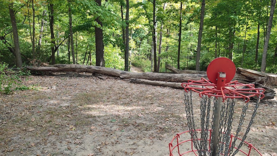 Mt. Airy Forest Disc Golf Course