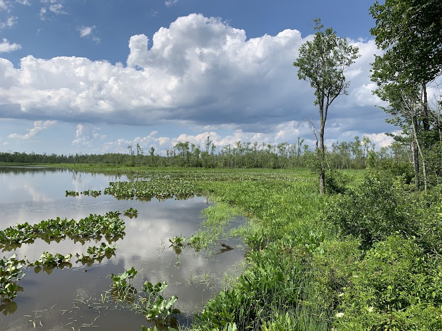 Vandell Preserve At Cumberland Marsh