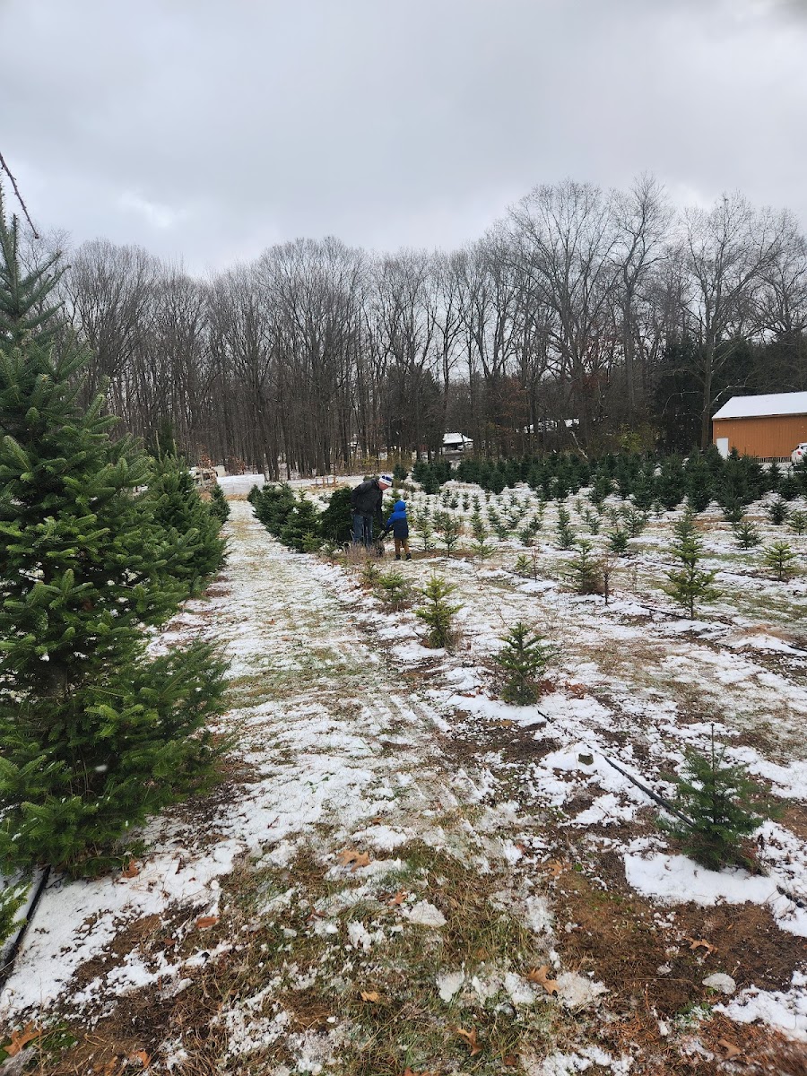 Westman's Christmas Tree Farm
