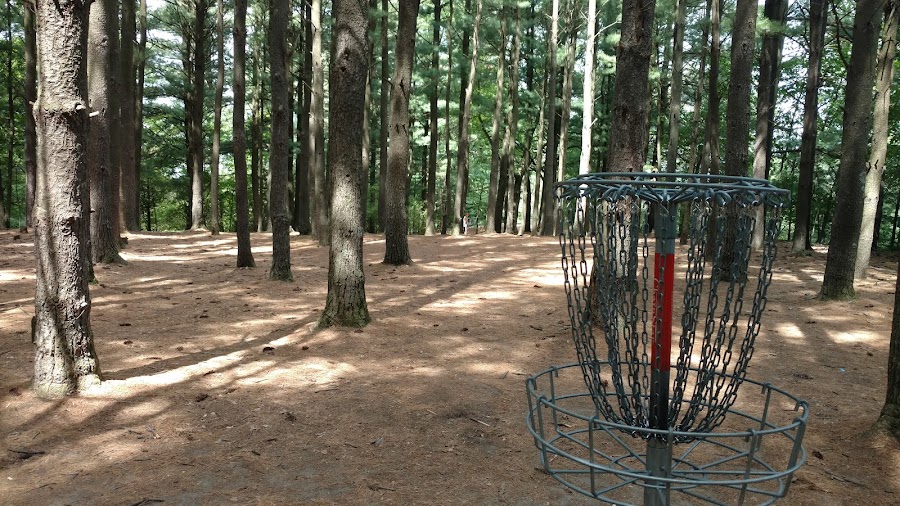 Disc Golf | Fallasburg Park