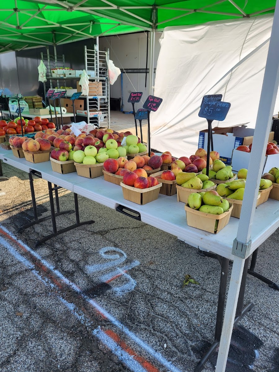 Westgate Farmers' Market
