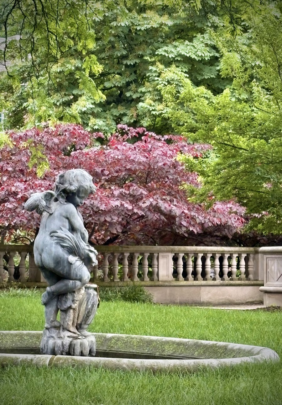 Chatham University Arboretum