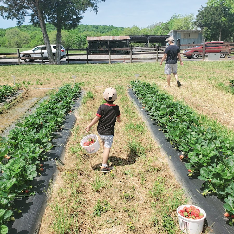 Batey Farms
