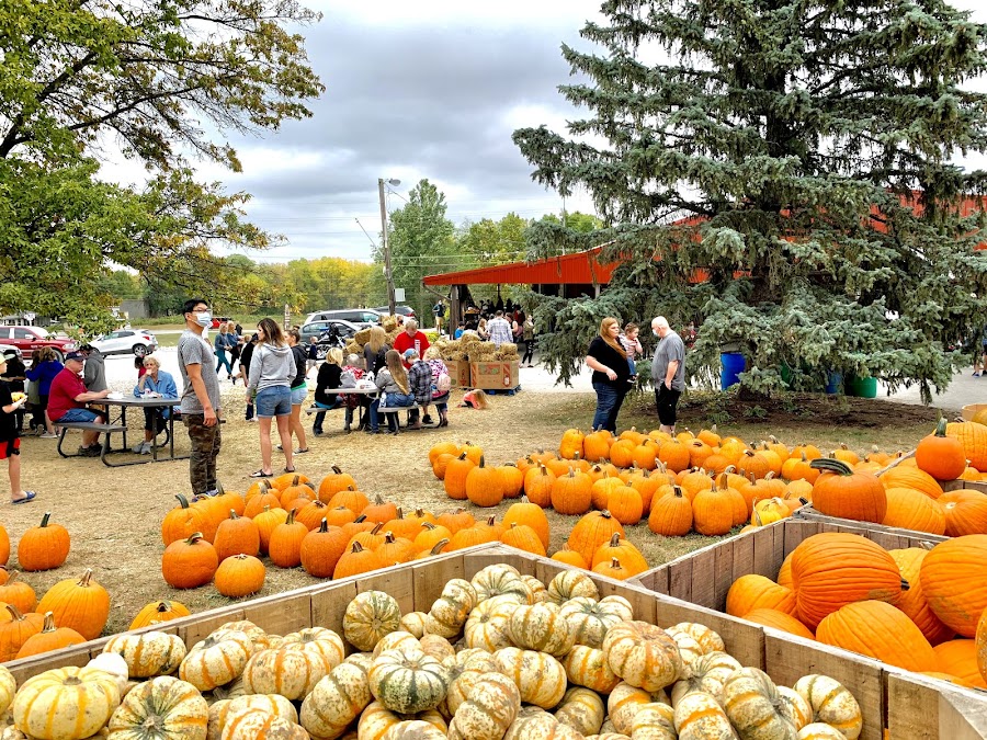 Anderson Orchard