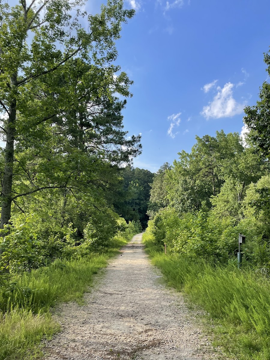 Durant Nature Preserve