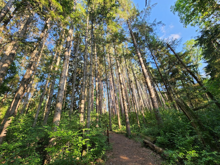 Retzer Nature Center