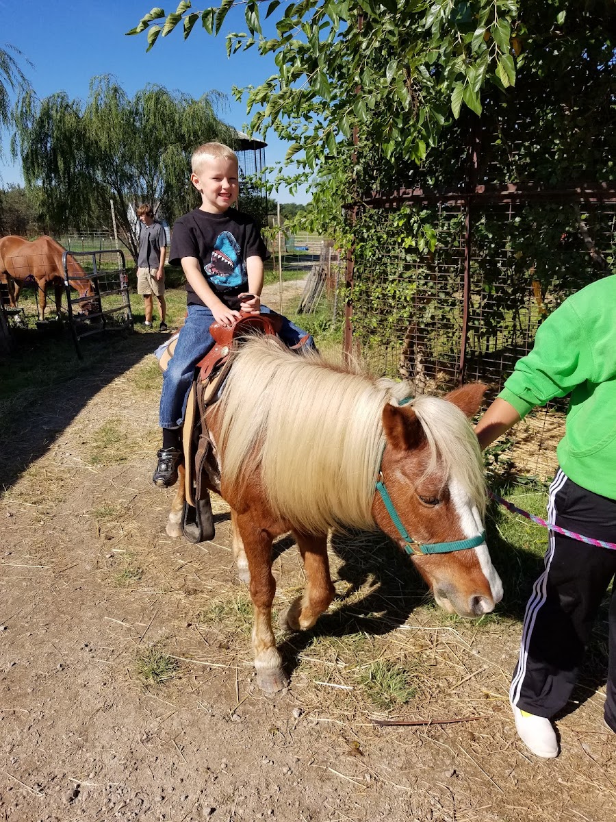 Bowlander Farm