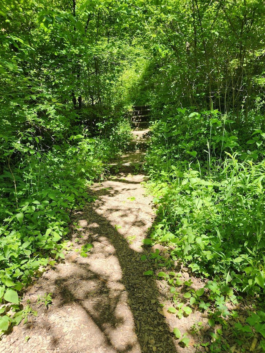 Bull's Run Nature Sanctuary And Arboretum