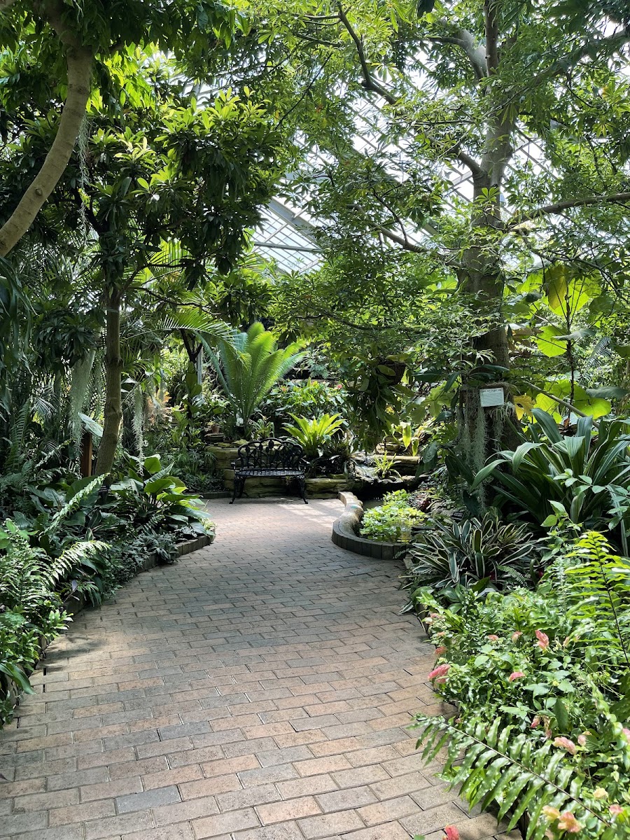 Garfield Park Conservatory