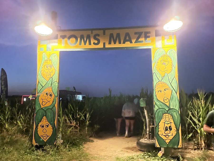 Tom's Maze and Pumpkin Farm