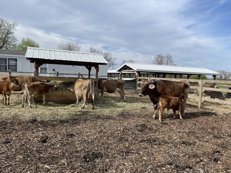 Hephzibah Farms