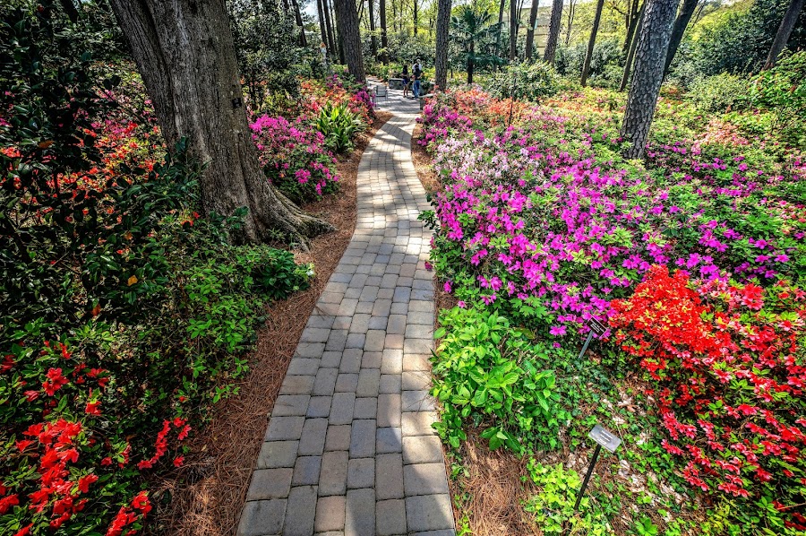 WRAL Azalea Garden