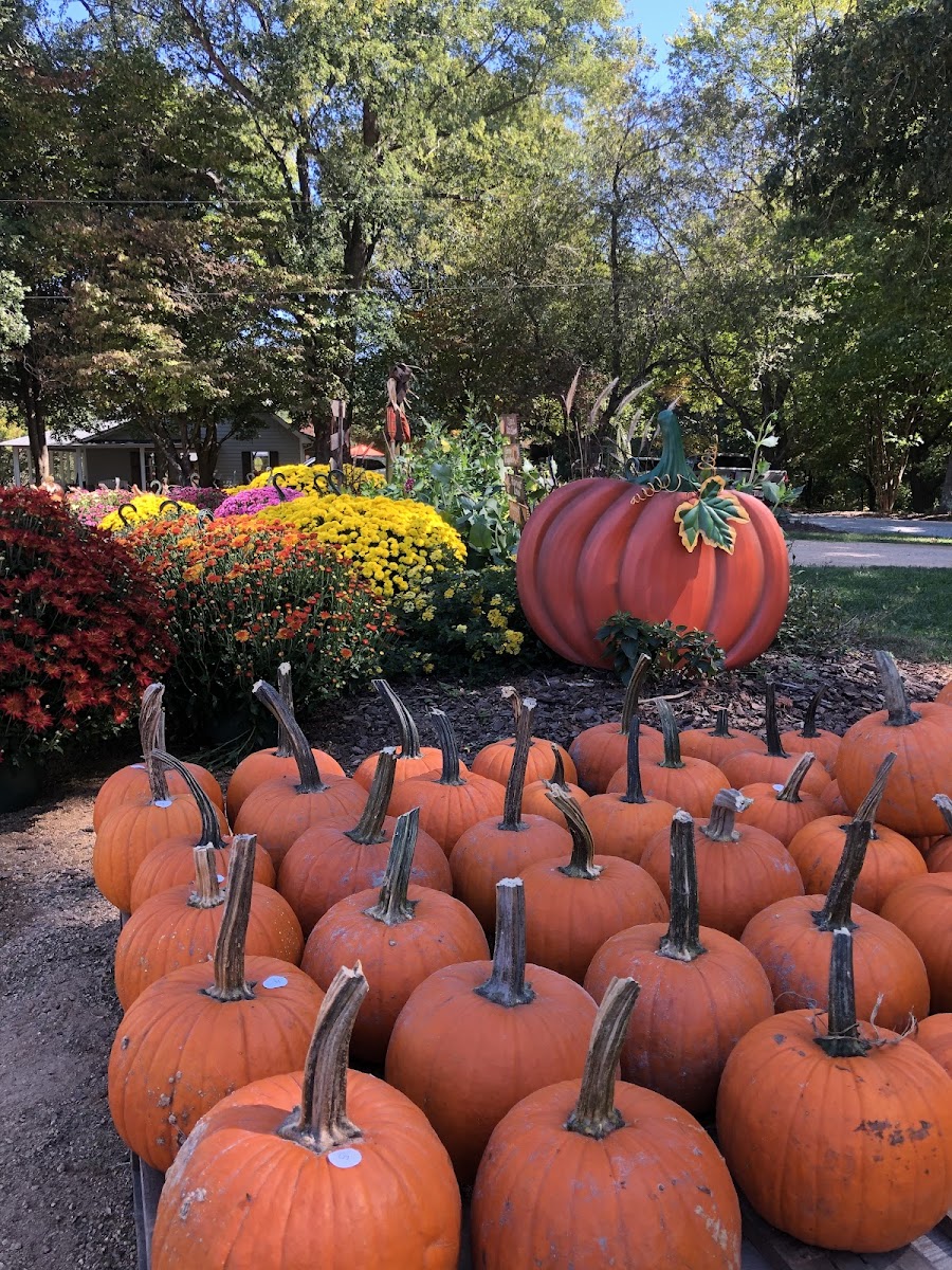 McKee CornField Maze