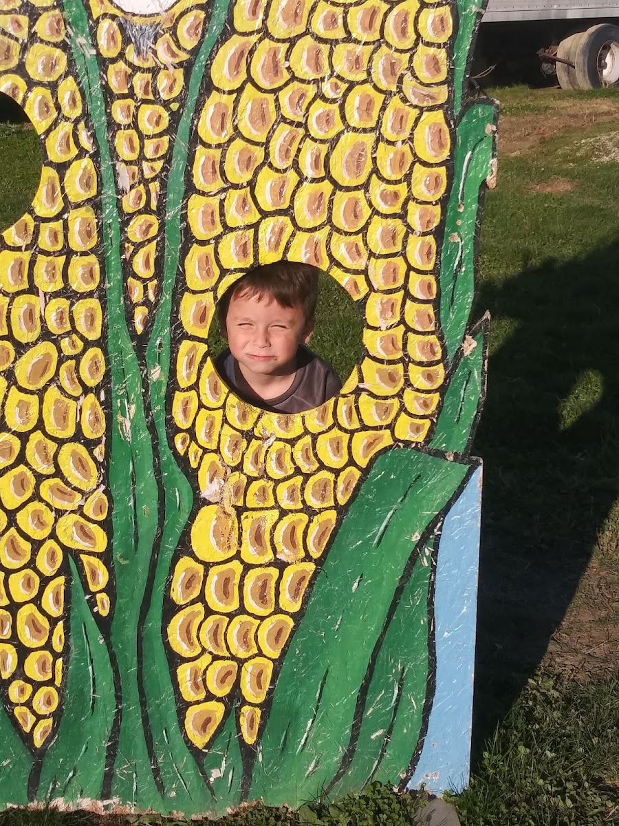 Carpenter Farms School Tours