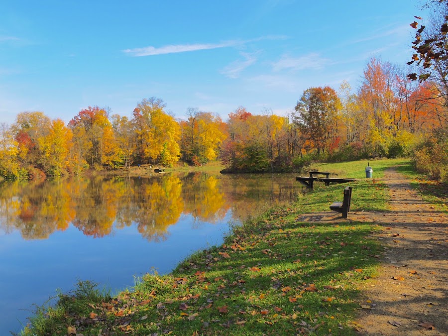 Shadow Lake Picnic Area