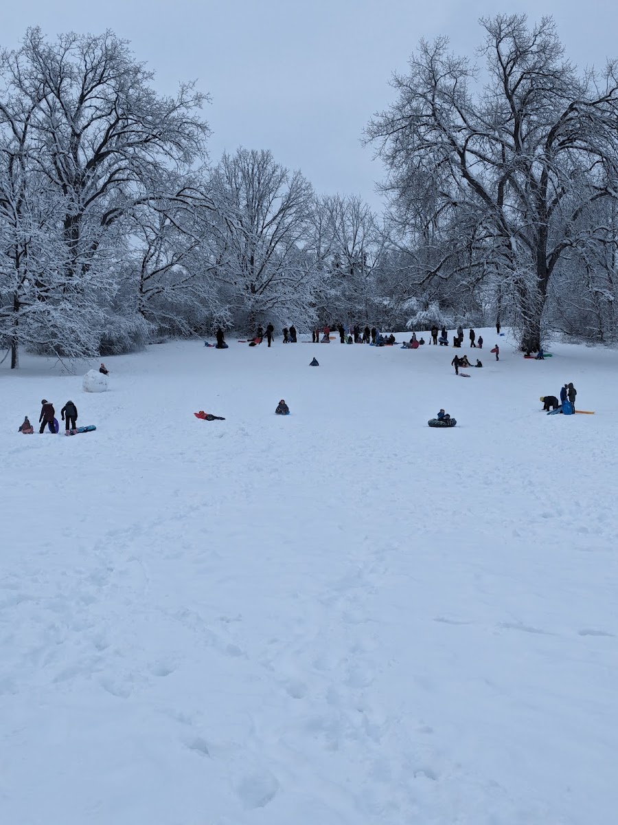 Dewey Hill