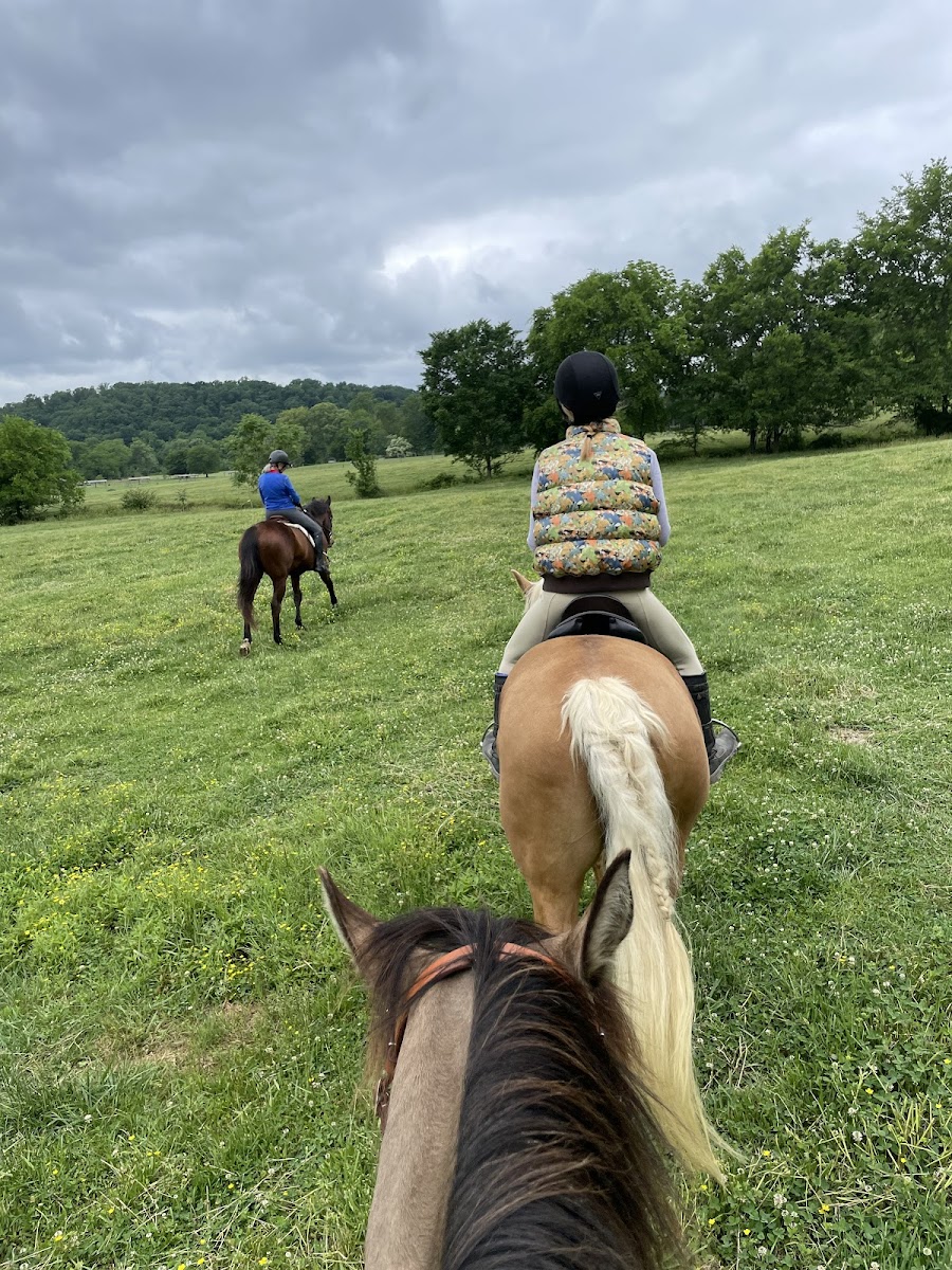 Triple L Ranch