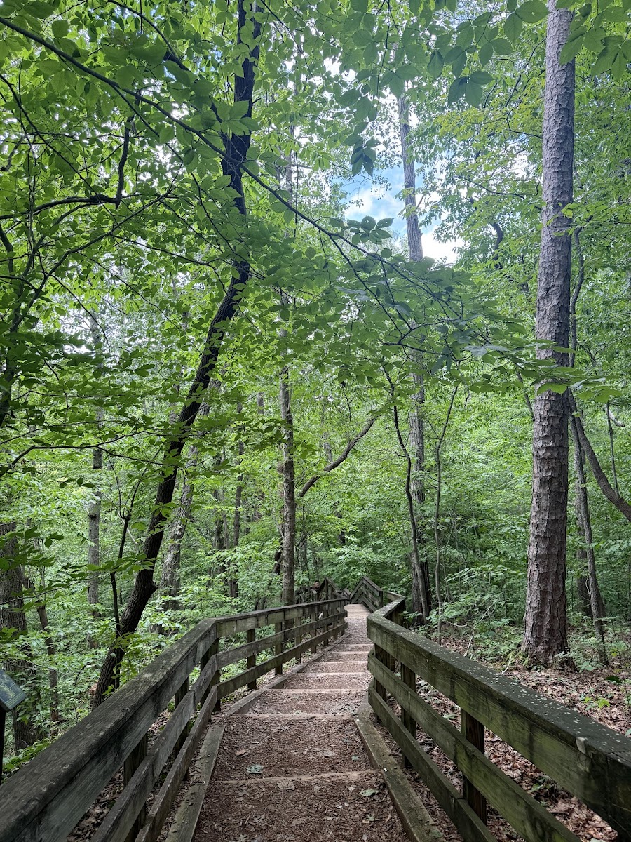 Hemlock Bluffs Nature Preserve