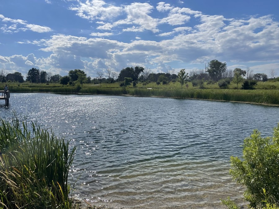 Friend's Fishing Pond